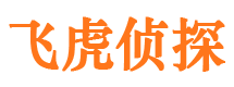 平安市婚姻出轨调查